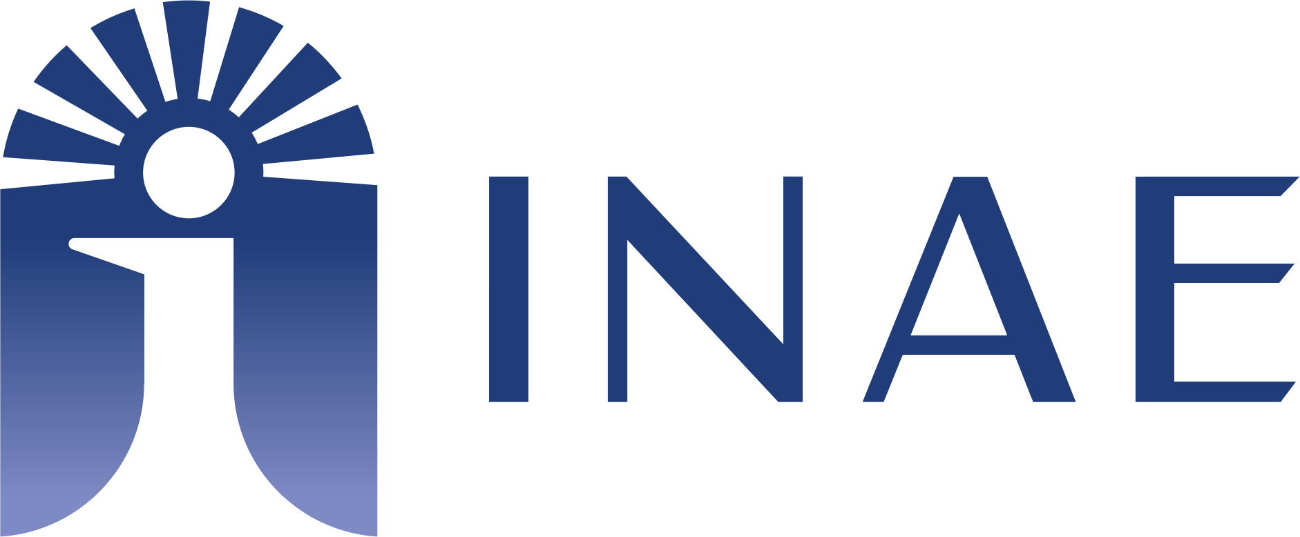 INAE logo
